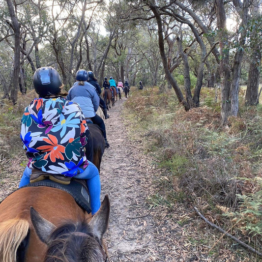 Horse Riding Winery Trail Adventure