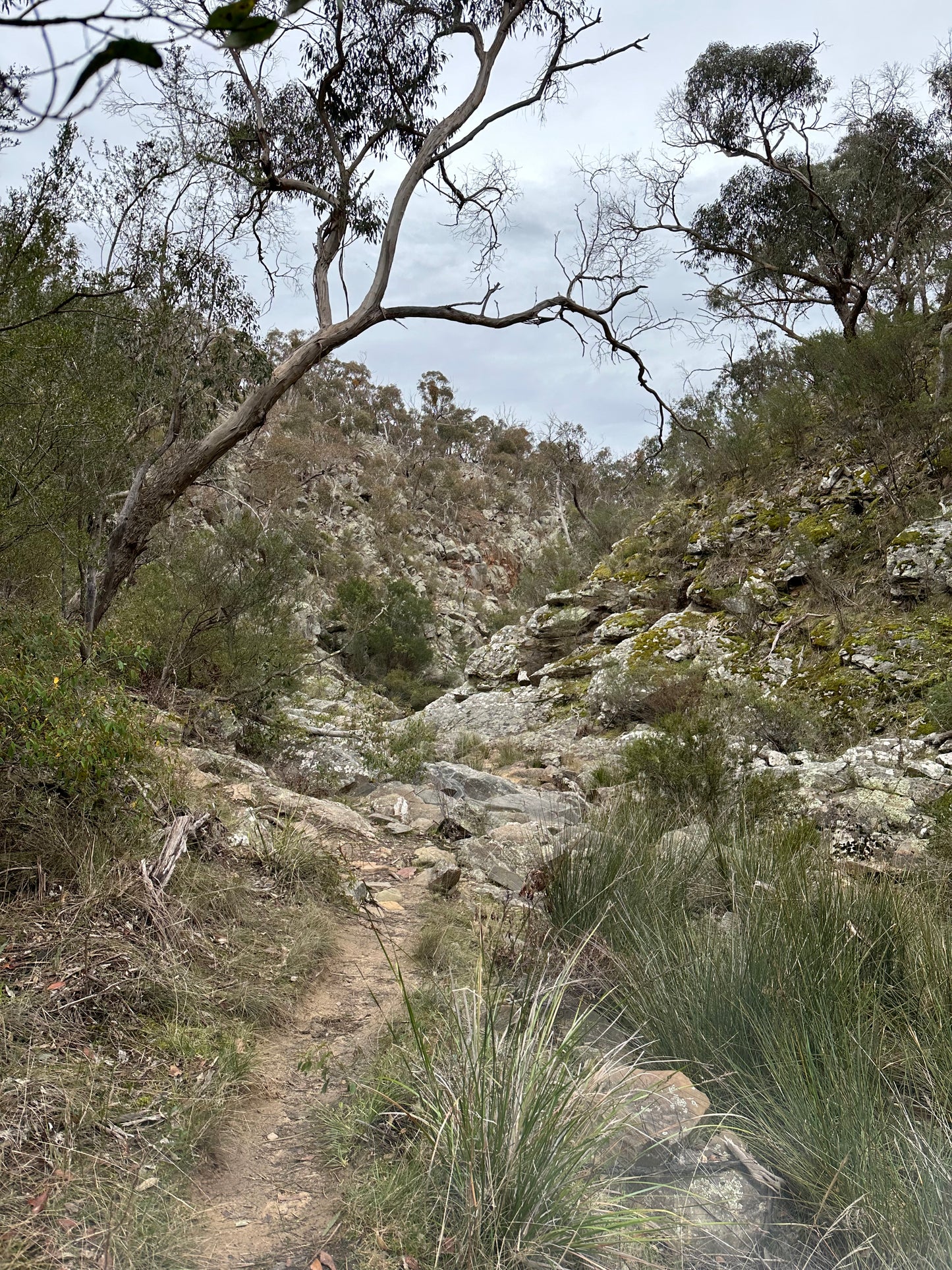 Deadman’s Gully Hike